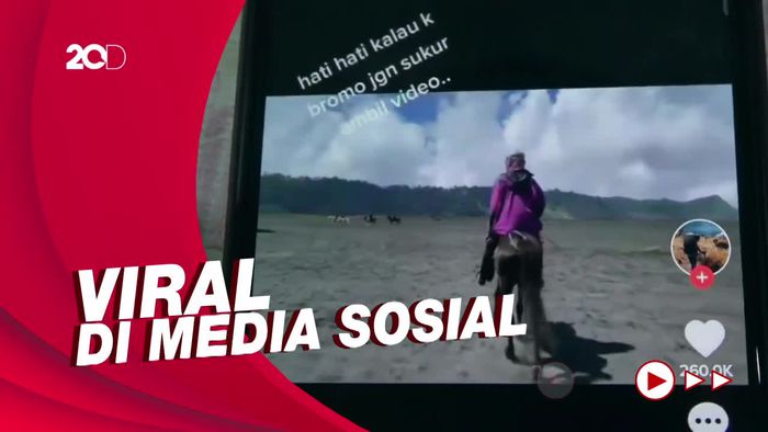 Wisatawan Bromo Ngaku Dipalak Oknum Ojek Kuda Gegara Merekam Tanpa Izin