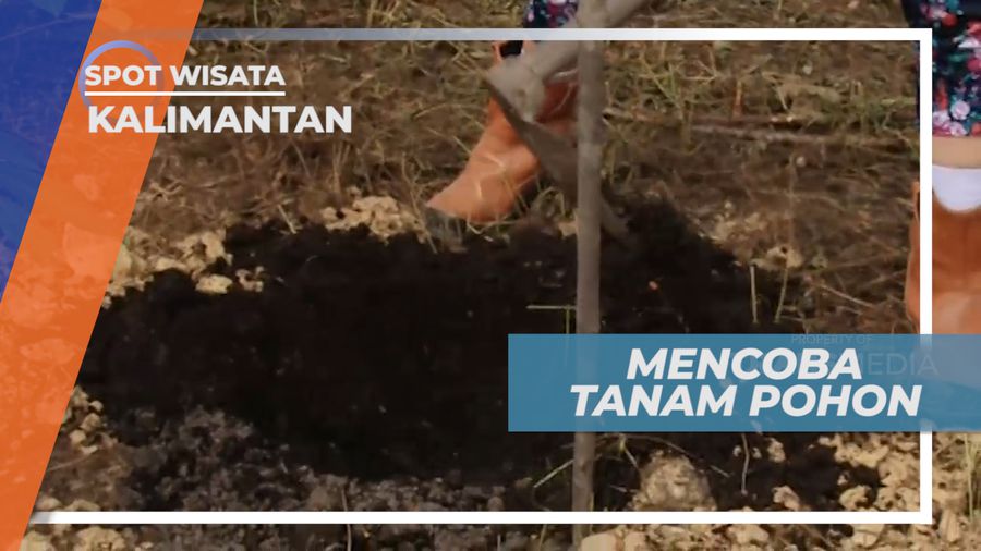 Menanam Pohon di Lahan Reklamasi Bekas Pertambangan, Kalimantan Timur