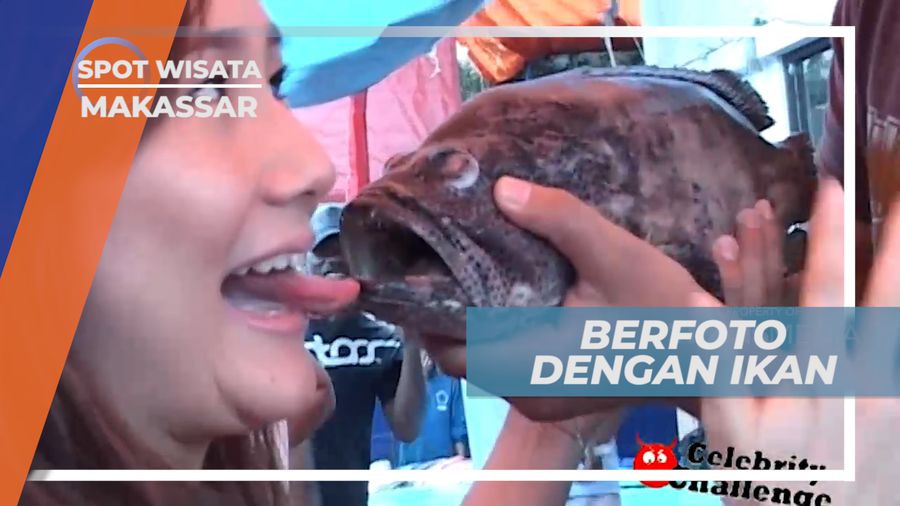 Foto-foto dengan Ikan, Makassar