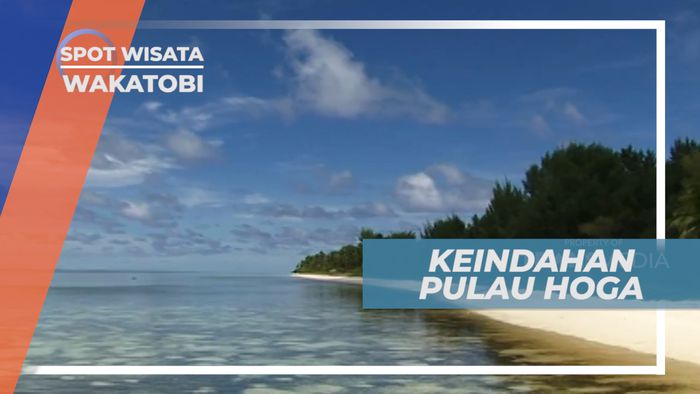 Berfoto di Indahnya Pantai Pulau Hoga, Wakatobi