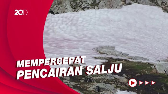 Melihat Fenomena Darah Salju di Pegunungan Alpen