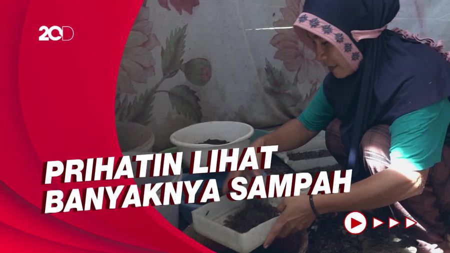 Emak-emak di Polman Beternak Maggot untuk Atasi Persoalan Sampah