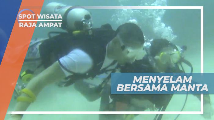 Berenang Bersama Manta, Spesies Ikan Pari Terbesar di Dunia, Raja Ampat