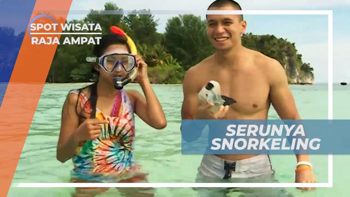 Snorkeling Menikmati Keindahan Bawah Laut Raja Ampat