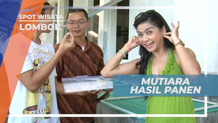 Indah dan Berkilau, Pesona Mutiara Hasil Panen, Lombok