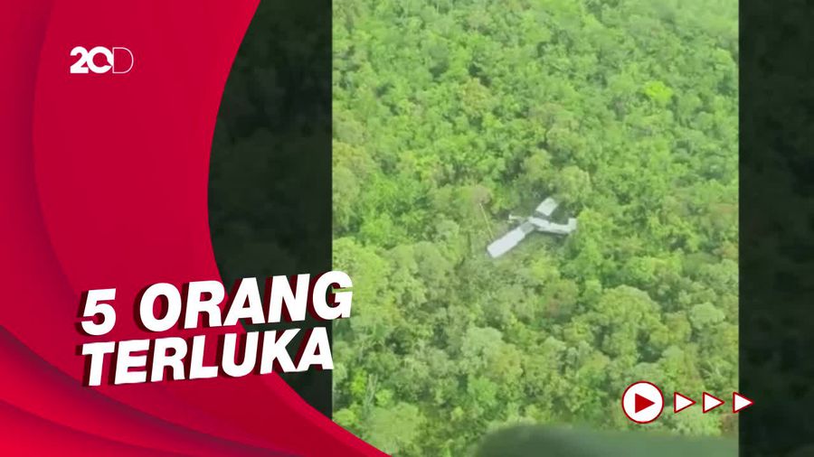 Jatuh di Timika, Basarnas Pastikan 7 Orang di Pesawat Susi Air Selamat