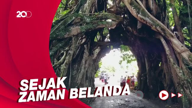 Bunut Bolong, Objek Wisata Bermuatan Sejarah dan Mitos di Bali
