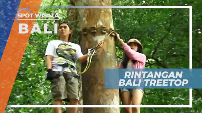 Mengayun Seru dari Pohon ke Pohon di Wisata Alam Bali