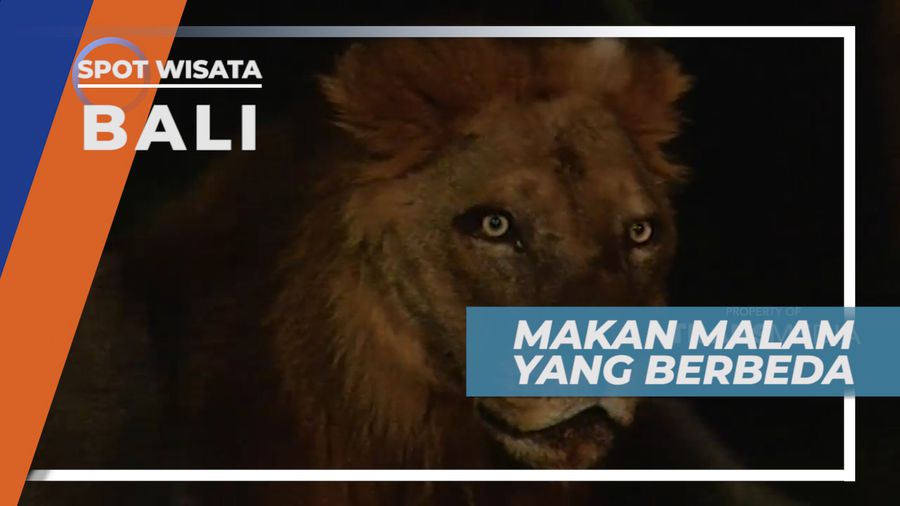 Seru dan Seram, Makan Malam dengan Pemandangan Para Singa, Bali