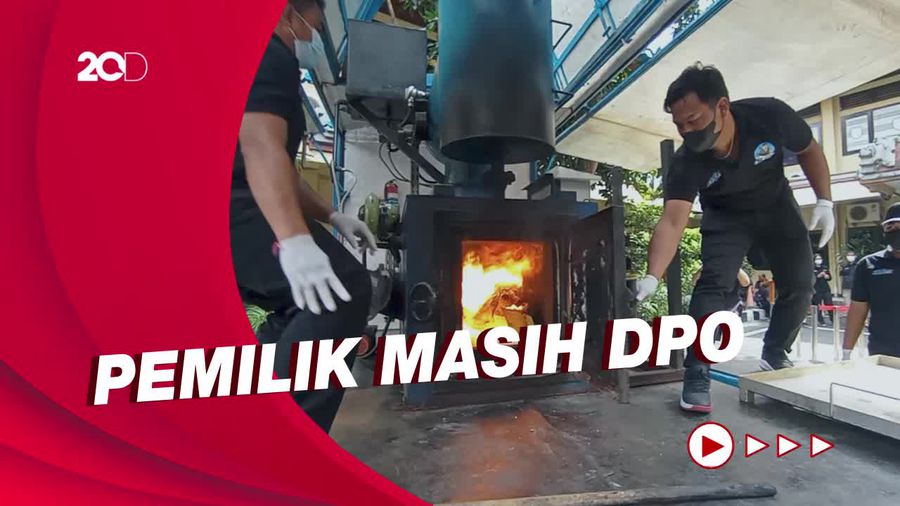 Melihat Pemusnahan Narkoba Rp 56 Miliar Milik DPO Bule Australia