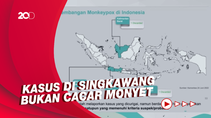 Kemenkes Tegaskan Belum Ada Kasus Cacar Monyet di Indonesia