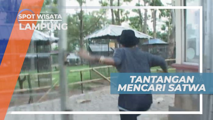 Keseruan Permainan Di Taman Satwa, Lampung