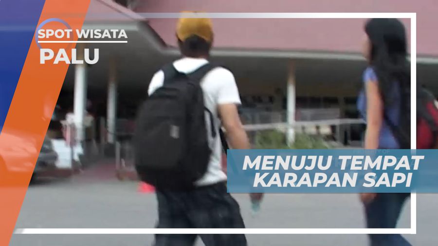 Mengunjungi Tempat Karapan Sapi Beradu Cepat, Palu