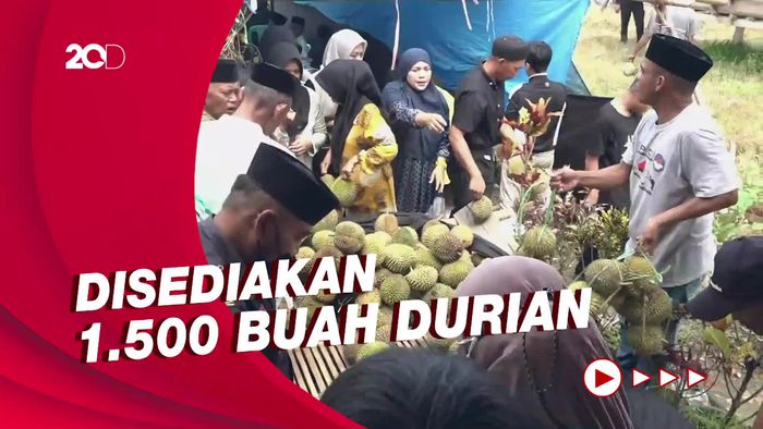 Warga Polewali Mandar Pesta Durian: Makan Sepuasnya Gratis!