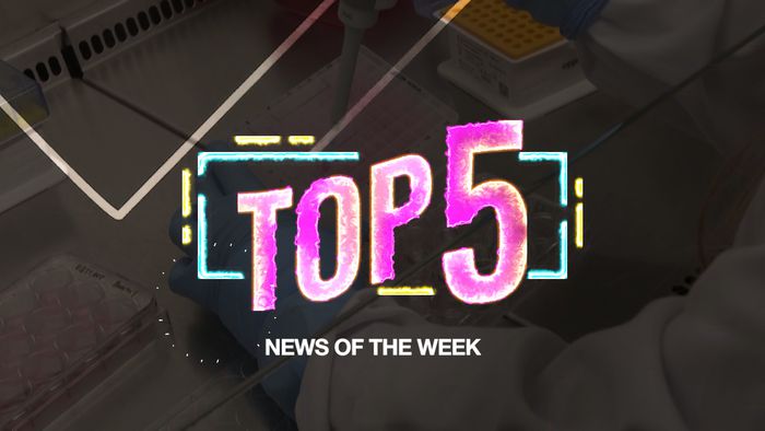Top 5: Rima Melati Meninggal Dunia hingga 5 Fitur Terbaru WhatsApp