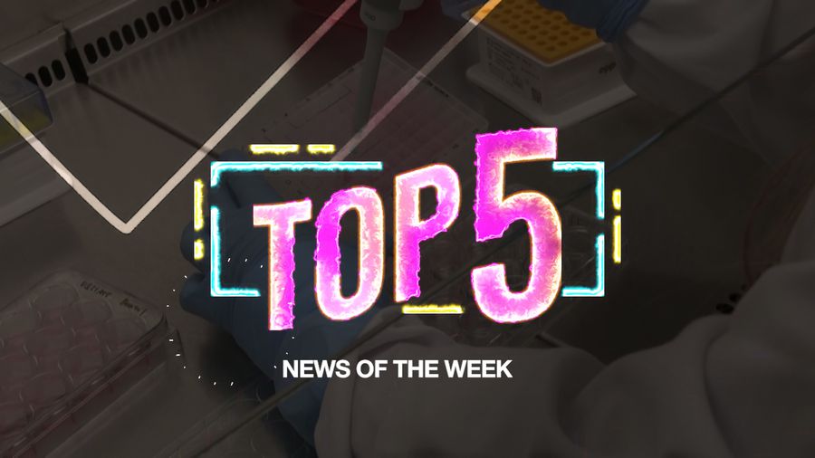 Top 5: Rima Melati Meninggal Dunia hingga 5 Fitur Terbaru WhatsApp