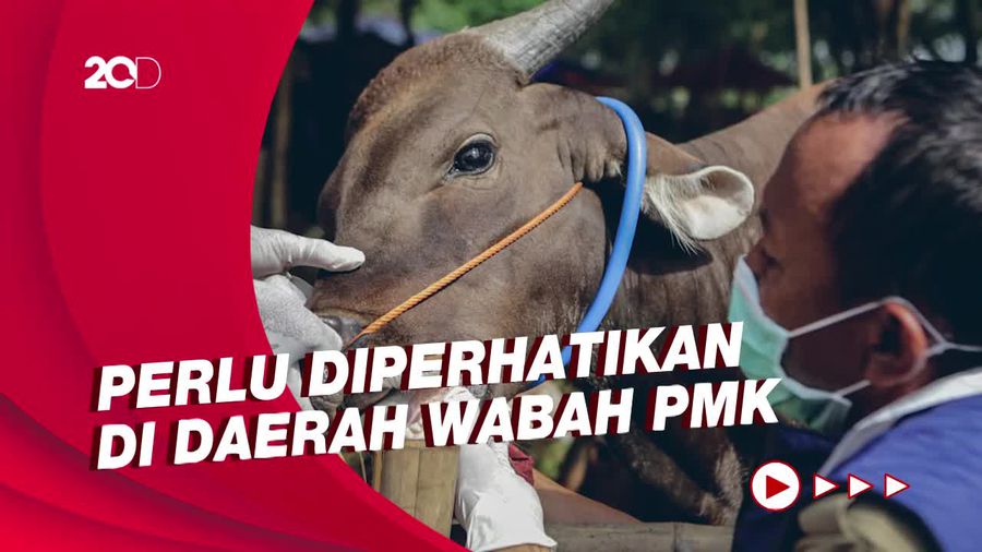 Ini Panduan Salat Hari Raya Idul Adha dan Kurban di Tengah Wabah PMK