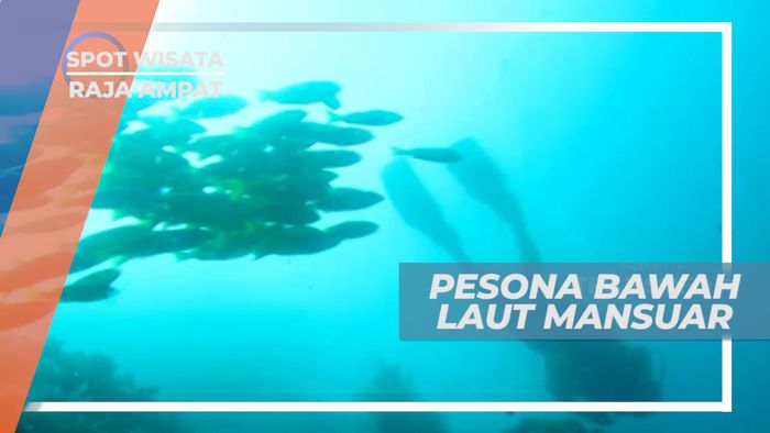 Pemandangan Bawah Laut Mansuar Raja Ampat yang Menakjubkan