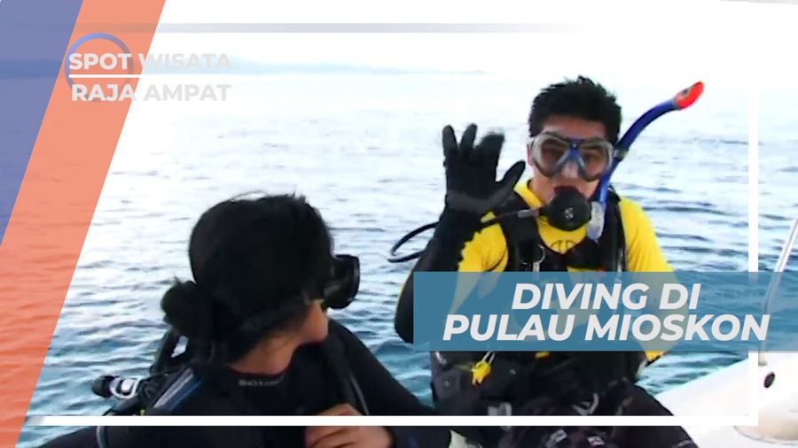 Pulau Mioskon, Menjadikan Raja Ampat Penuh dengan Spot Diving Indah