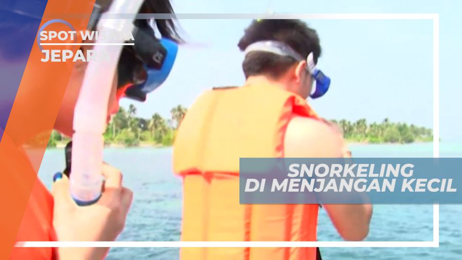 Keseruan Menyentuh Ikan Sambil Snorkeling di Pulau Menjangan Kecil, Jepara