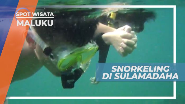 Snorkeling Menikmati Keindahan Bawah Laut Pantai Sulamadaha Maluku Utara