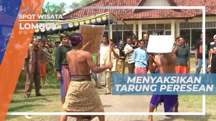 Tradisi Ajang Adu Keberanian dan Keperkasaan, Lombok