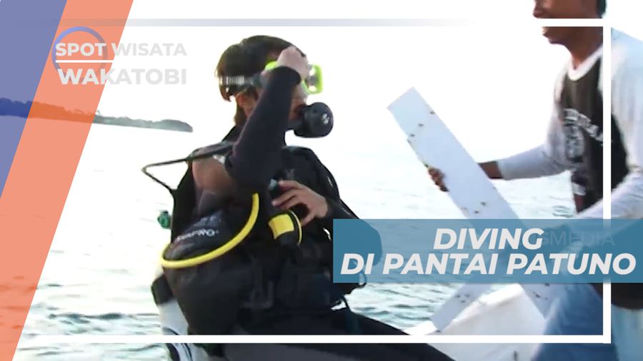Spot Diving Favorit di Pantai Patuno, Wakatobi