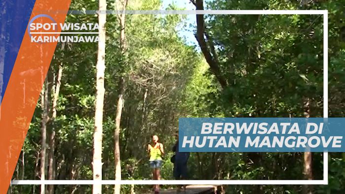 Menjelajah Hutan Mangrove di Karimunjawa
