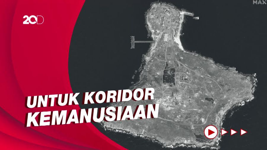 Alasan Rusia Tarik Pasukan dari Pulau Ular Ukraina