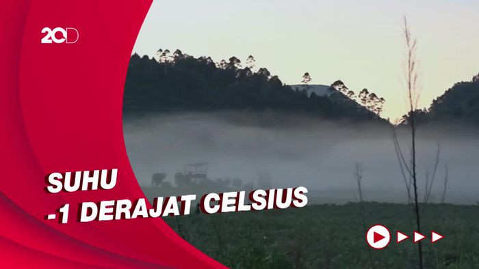 Penampakan Embun Es Selimuti Dataran Tinggi Dieng