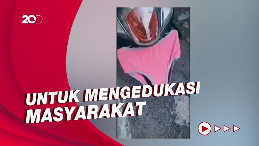 Emak-emak Tutup Pelat Pakai CD Jadi Duta ETLE Usai Minta Maaf