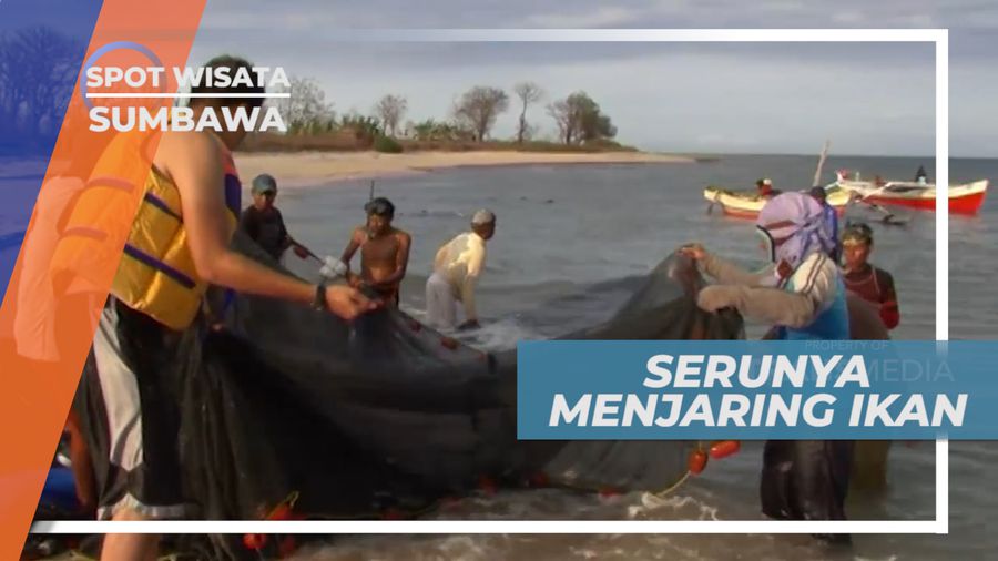 Aneka Jenis Ikan dalam Tangkapan Jaring, Sumbawa