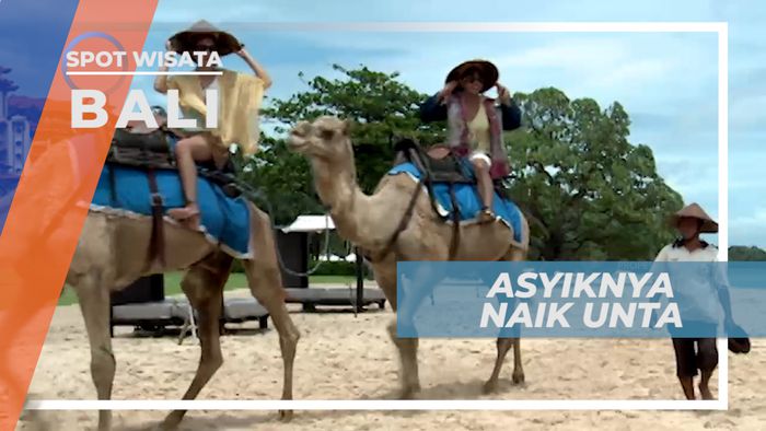 Mengandarai Unta Di Pinggir Pantai Nusa Dua, Bali