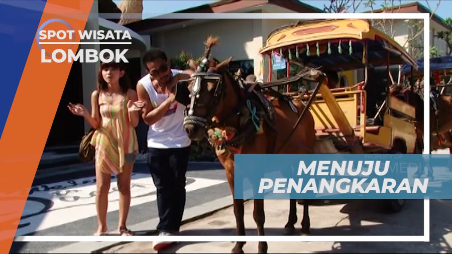 Bersepeda Pagi Mengunjungi Tempat Penangkaran Penyu Gili Trawangan, lombok
