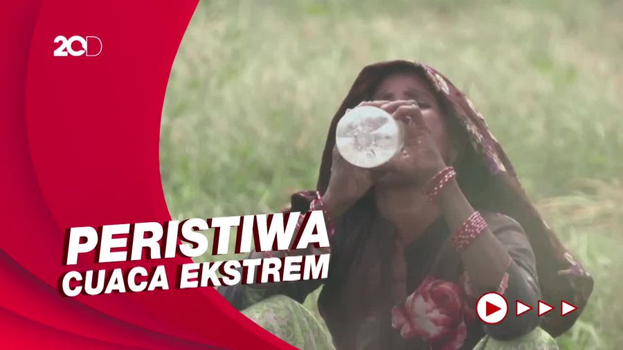 Melihat Dampak Perubahan Iklim Secara Global