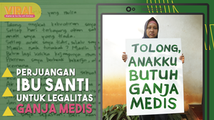 Legalisasi Ganja Medis Demi Sang Buah Hati