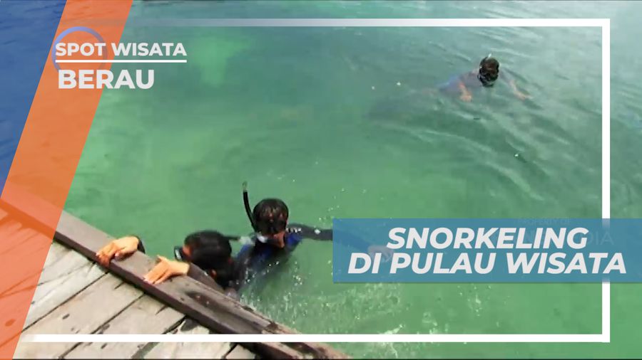 Pulau Kakaban, Serunya Snorkeling Dengan Ubur-ubur Jinak dan Lucu, Berau