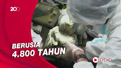 Arkeolog China Temukan Relik Langka di Situs Sanxingdui