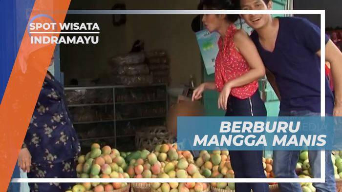Menemukan Penjual Buah Mangga Khas Indramayu