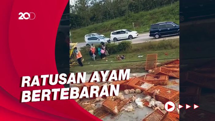 Kecelakaan Bus Vs Truk Ayam di Tol Cipali, 2 Orang Tewas