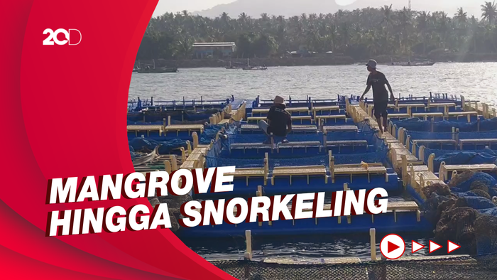 Kampung Kerapu di Bali Suguhkan Potensi Wisata Baru untuk Pengunjung