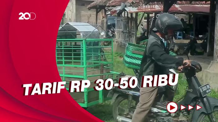 Melihat Layanan Ojek Kambing di Kudus, Banjir Orderan Jelang Idul Adha