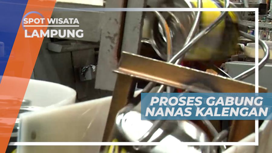 Berkunjung ke Pabrik Nanas di Kawasan Tembagi Besar Lampung