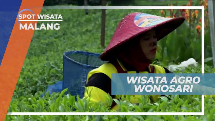 Asri dan Menyegarkan, Berkunjung ke Wisata Agro Wonosari Kota Malang
