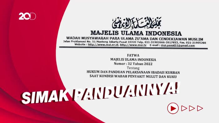 Panduan dan Syarat Sah Kurban di Tengah Wabah PMK Menurut Fatwa MUI