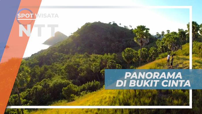 Pulau Komodo, Indahnya Panorama Alam Bukit Cinta yang Memukau, Nusa Tenggara Timur