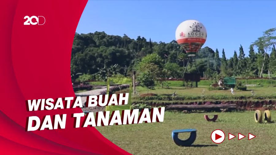 Jalan-jalan ke Bogor Fruit Garden, Cocok untuk Liburan Keluarga