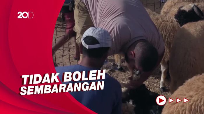 Tata Cara dan Doa Menyembelih Hewan Kurban