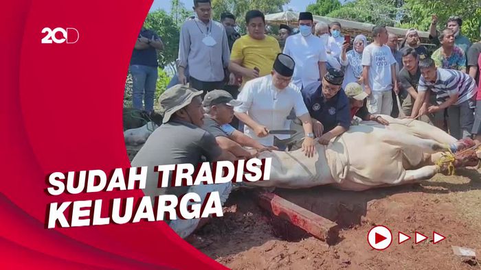 Momen Anies Turun Tangan Langsung Sembelih Sapi Kurban