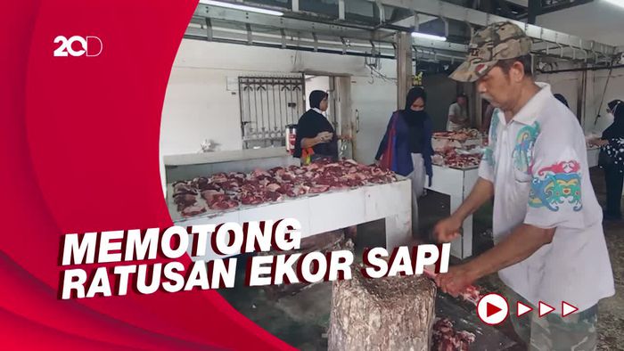 Melihat Aktivitas Pemotongan Hewan Kurban di RPH Denpasar